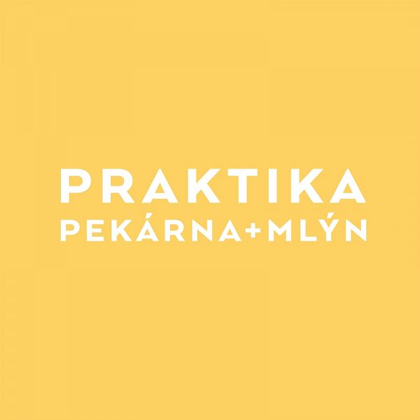 Praktika - logo design