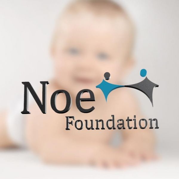 Noe Foundation - logo design